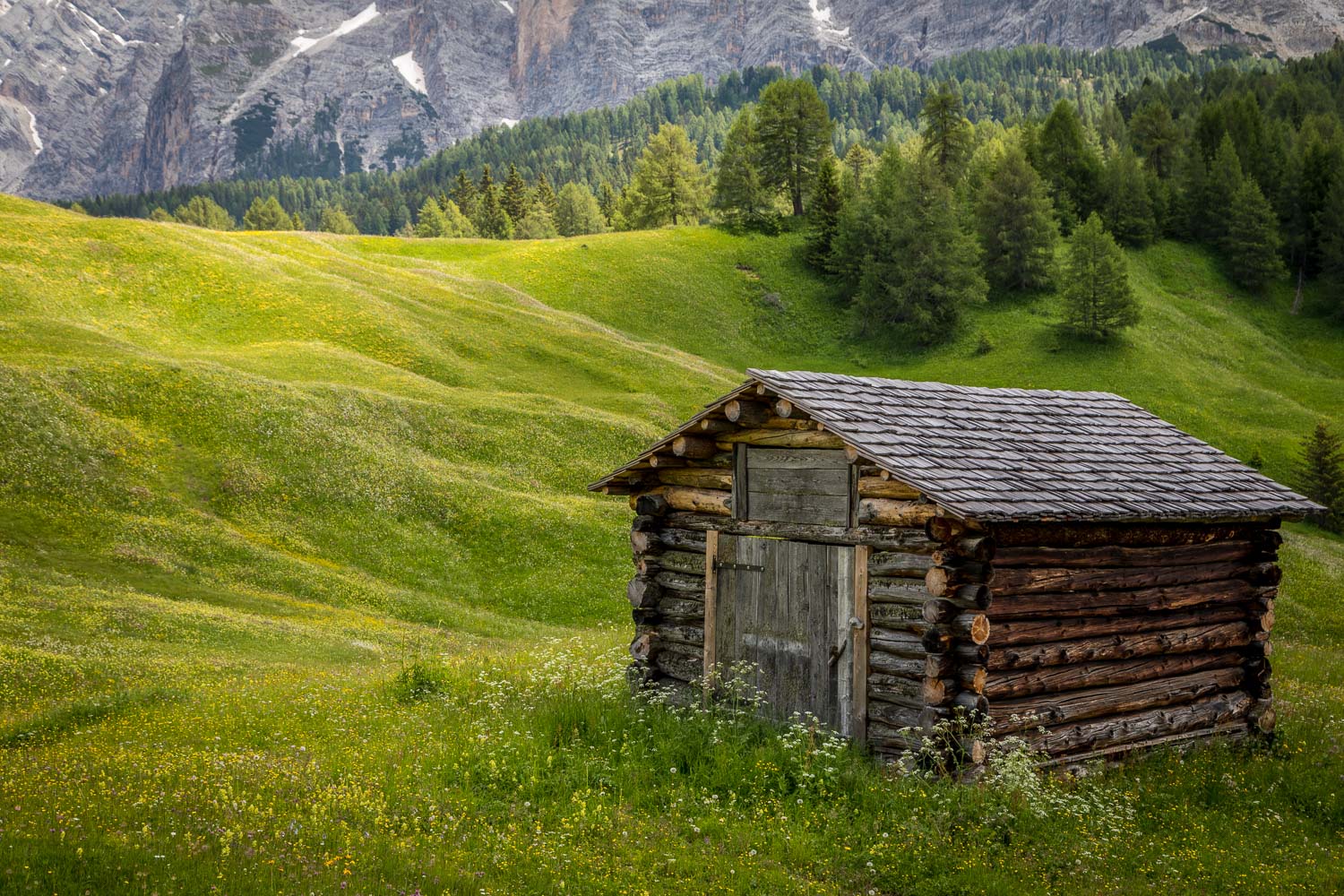 Armentara meadows, Dolomites