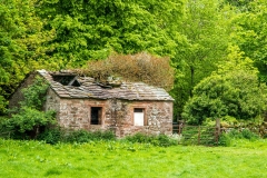 Ruined old barn near Newbeggin