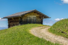 Alpe de Siusi flower meadows, Dolomites