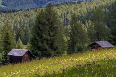 Armentara meadows, Dolomites