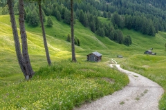 Armentara meadows, Dolomites