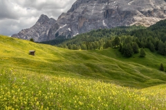 Armentara meadows, Dolomites