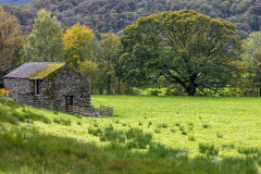 Near Rosthwaite Near Rosthwaite