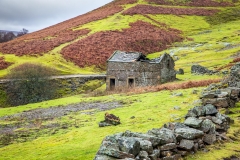 Muker barn