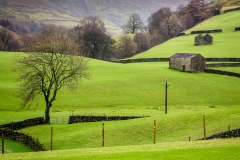 Muker barn