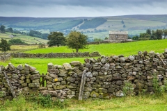 Barn near Reeth