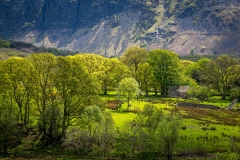 Wasdale