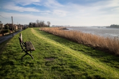 River Ouse near Saltmarshe
