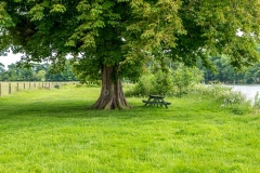 Burton Constable