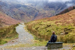 Buttermere bench