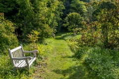 Howick Hall Gardens