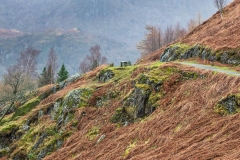 Bench above Derwent Water
