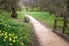 Farndale bench