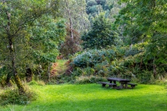 Borrowdale bench