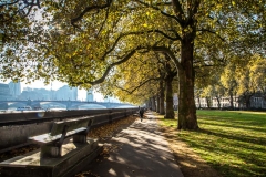 River Thames bench