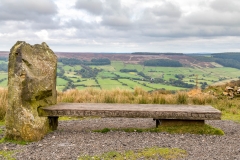 Rosedale bench