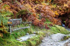 Bench on Loughrigg Terrace
