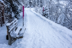 Swiss Alps bench