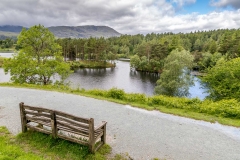 Tarn Hows