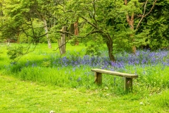 Thorpe Perrow bench