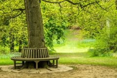 Thorpe Perrow bench
