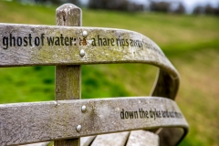 Carved poetry bench, Wolds Way