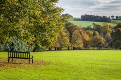 Yorkshire Sculpture Park