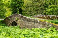 Bridge over Crowdundle Beck