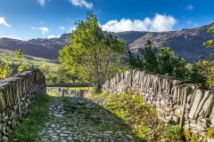 Bridge over Great Langdale Beck