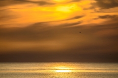 Northumberland coast dawn