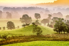 Newlands Valley dawn