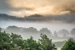 mist, Lanthwaite Wood