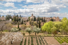 The Alhambra from Generalife