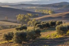 Val d'Orcia