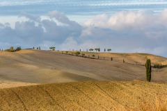 Fields in Val d'Orcia