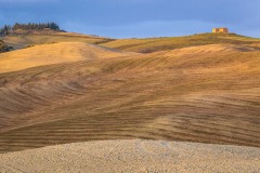 Fields in Val d'Orcia