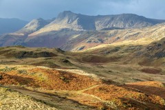 Langdale Pikes from Silver How