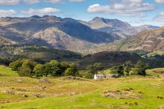 Bowfell from Black Fell Bowfell from Black Fell
