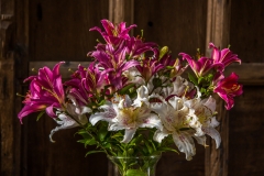Haddon Hall