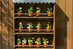 Holehird gardens