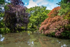 Exbury Garden