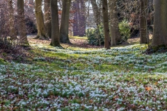 Hodsock Priory