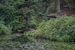 Japanese Garden, Tatton Hall