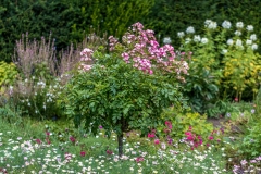 Newby Hall
