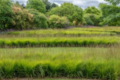 Scampston Walled Garden