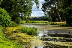 Scampston Hall