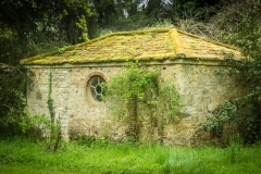 Thorpe Perrow