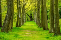 Thorpe Perrow