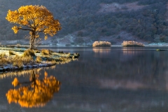 Crummock Water