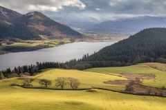 Bassenthwaite Lake from Lothwaite